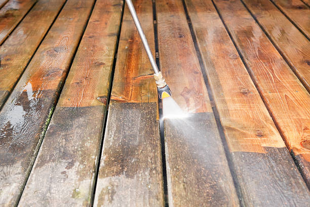Best Animal Enclosure Cleaning  in Fall Creek, WI